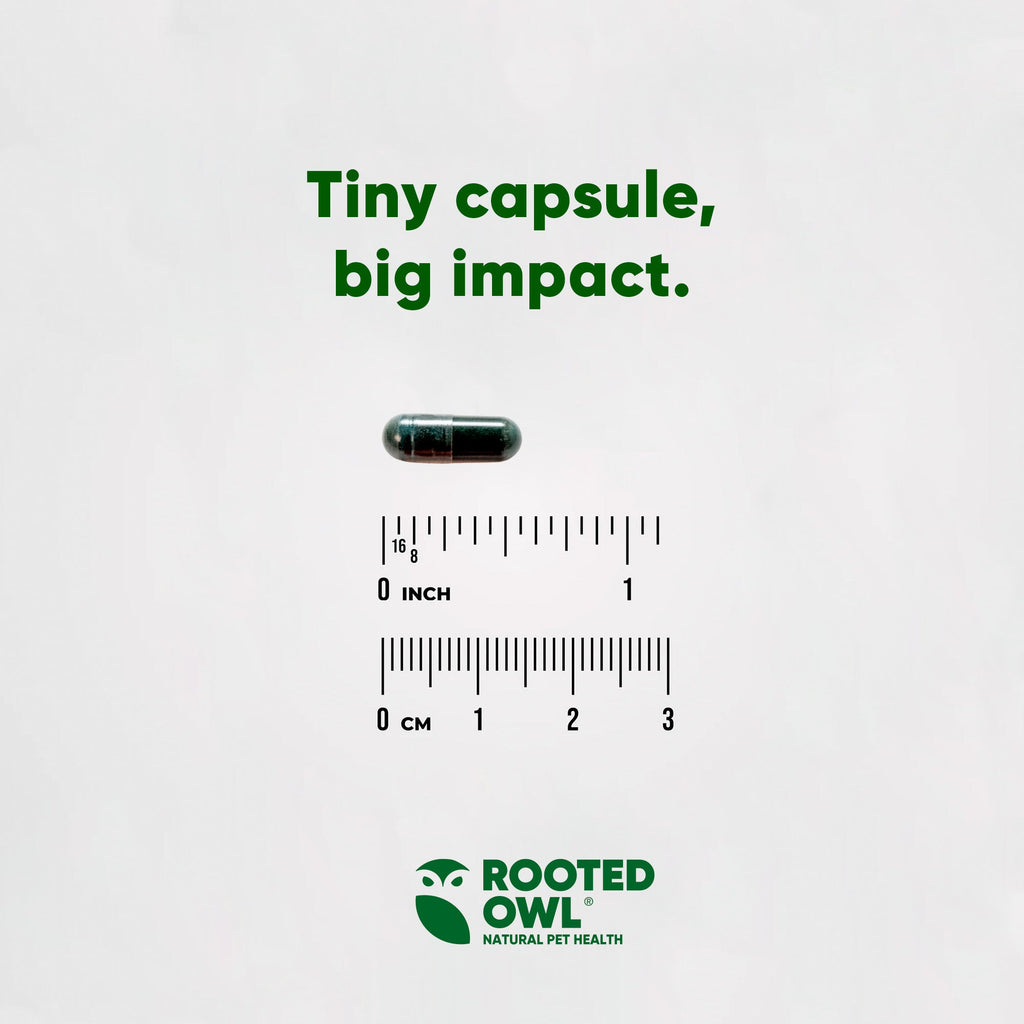 Spirulina & Chlorella by Rooted Owl Pet Supplements