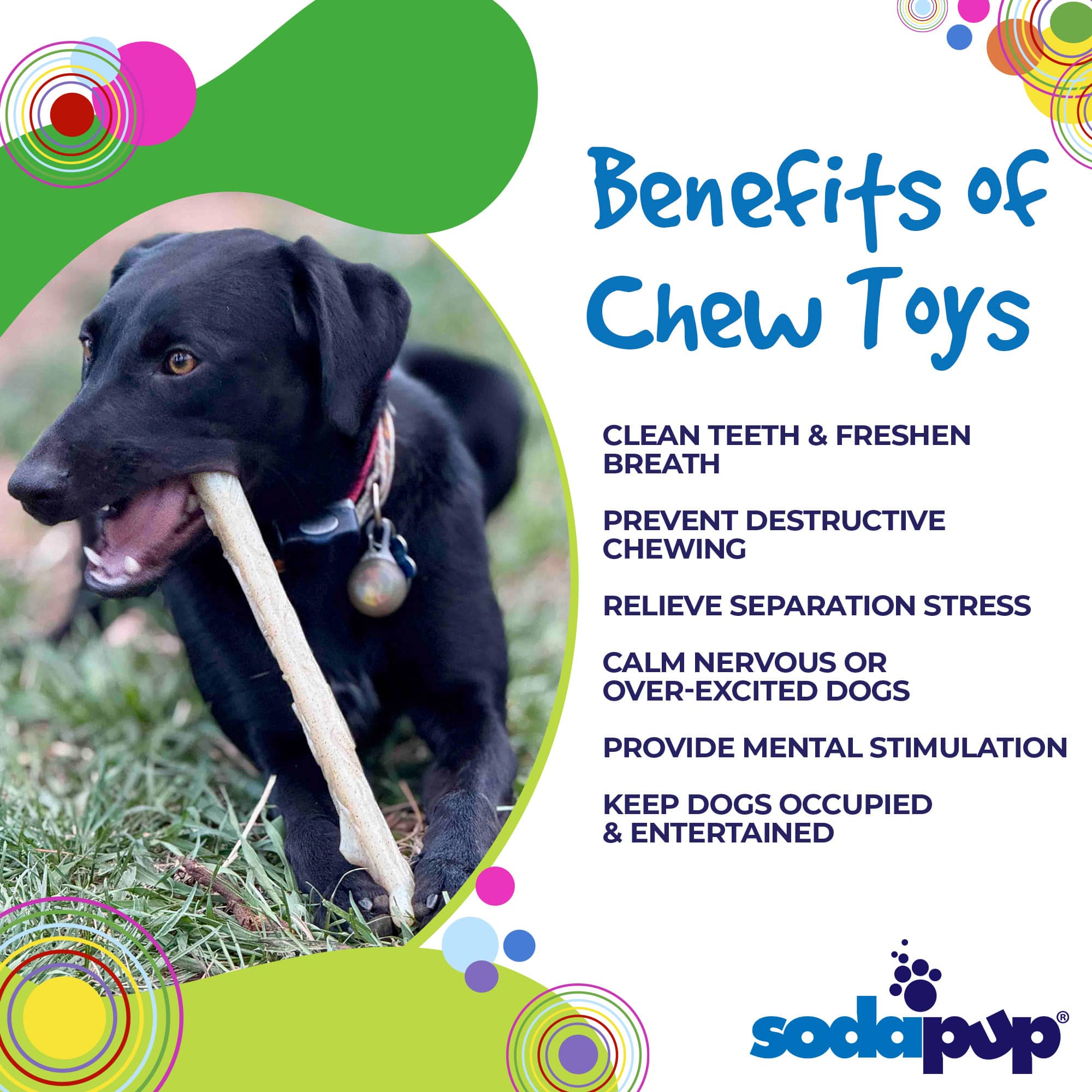 Durable Nylon Chew Stick for Power Chewers | Indestructible Dog Toy USA by SodaPup/True Dogs, LLC