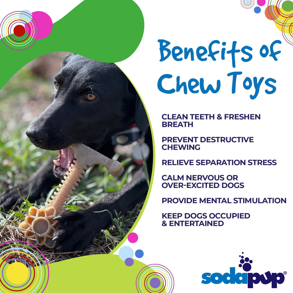 Honey Bone Dental Flower Tower - Indestructible Nylon Dog Chew Toy XL | USA by SodaPup/True Dogs, LLC