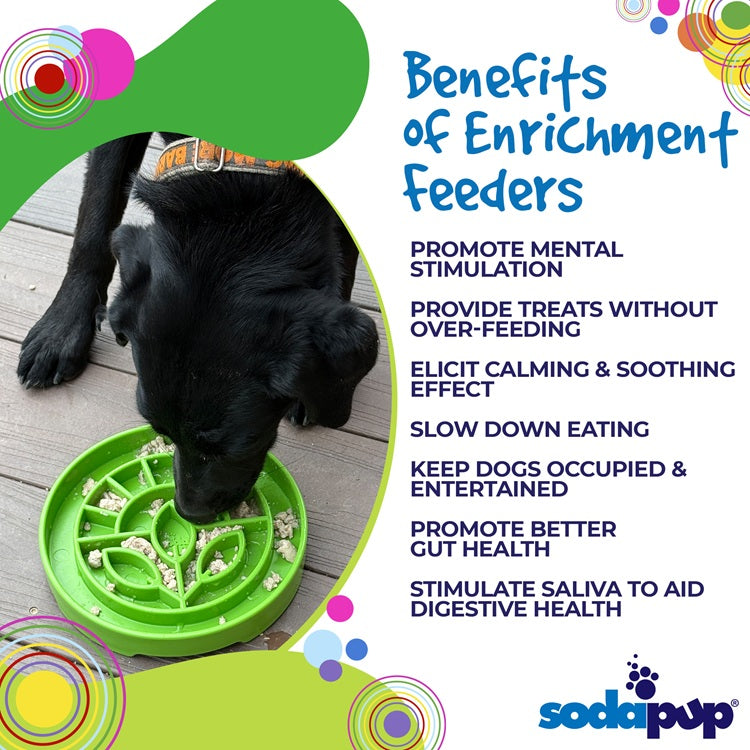 Garden Design eTray - Shallow Slow Feeder Dog Bowl for Enrichment | USA by SodaPup/True Dogs, LLC