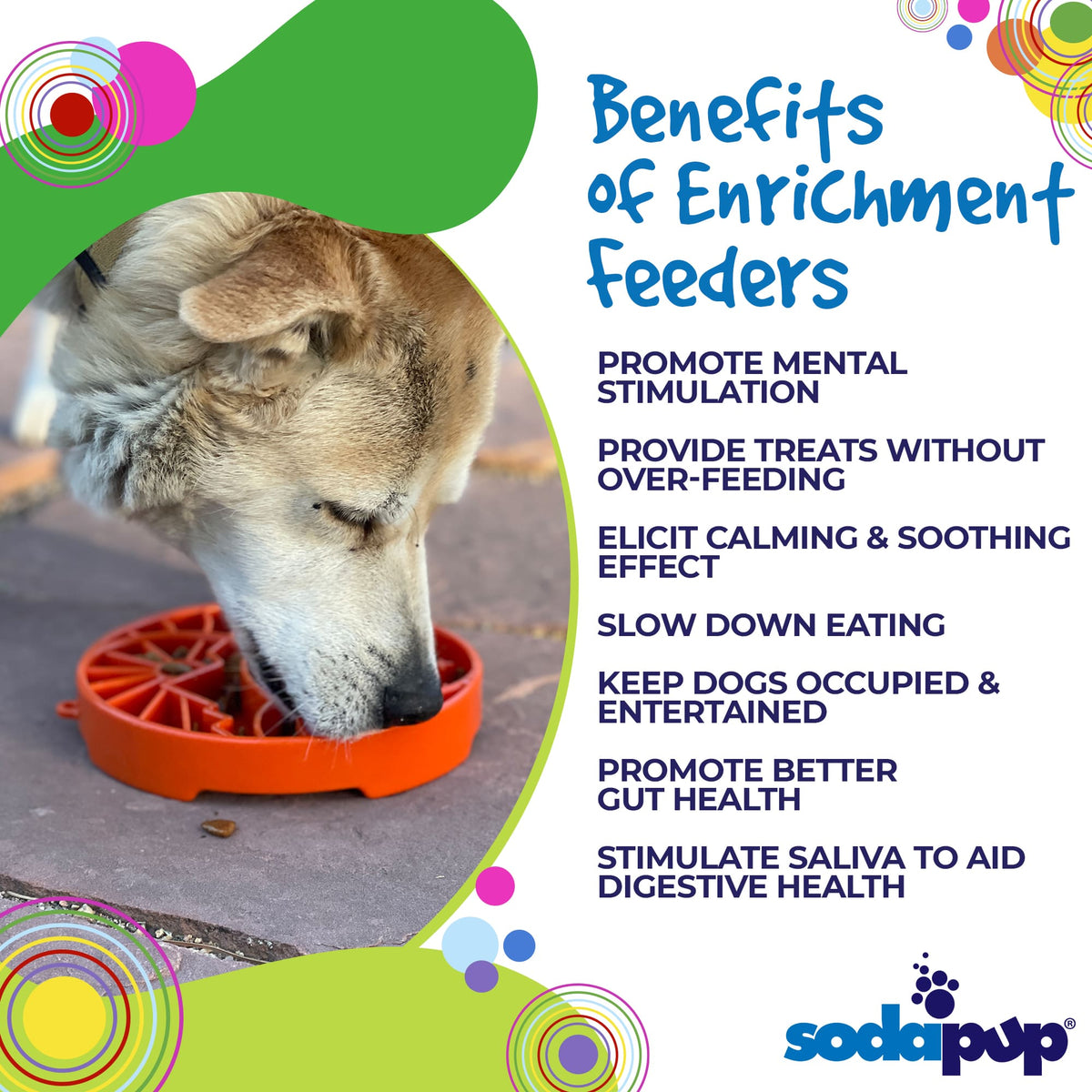 Sun and Moon eTray - Shallow Slow Feeder Dog Bowl for Enrichment | USA Made by SodaPup/True Dogs, LLC