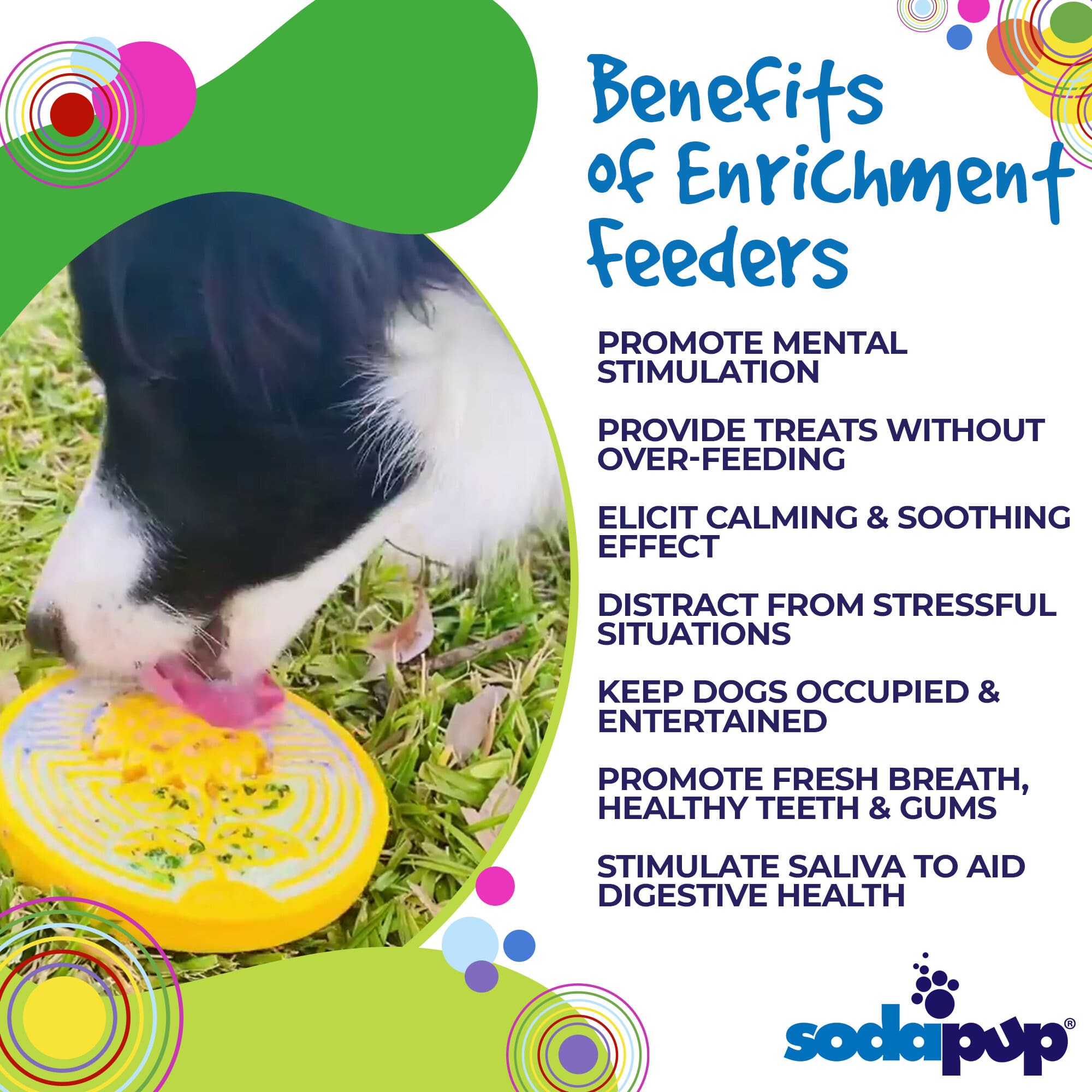 Earth eCoin Nylon Lick Mat for Dogs | USA Made Enrichment Toy | SodaPup by SodaPup/True Dogs, LLC