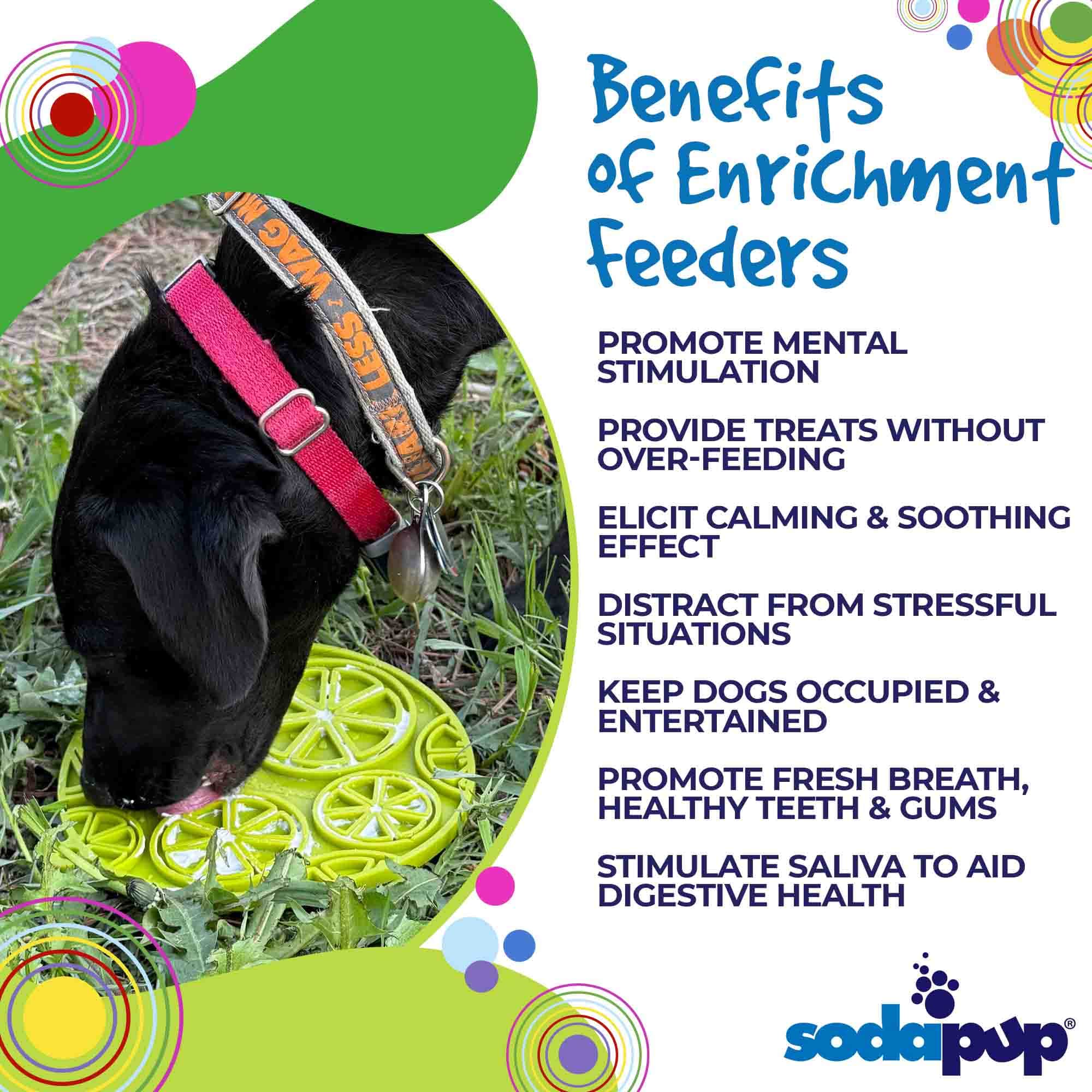 Citrus Design eMat - Enrichment Lick Mat For Dogs and Cats - with Suction Cups | USA Made by SodaPup/True Dogs, LLC