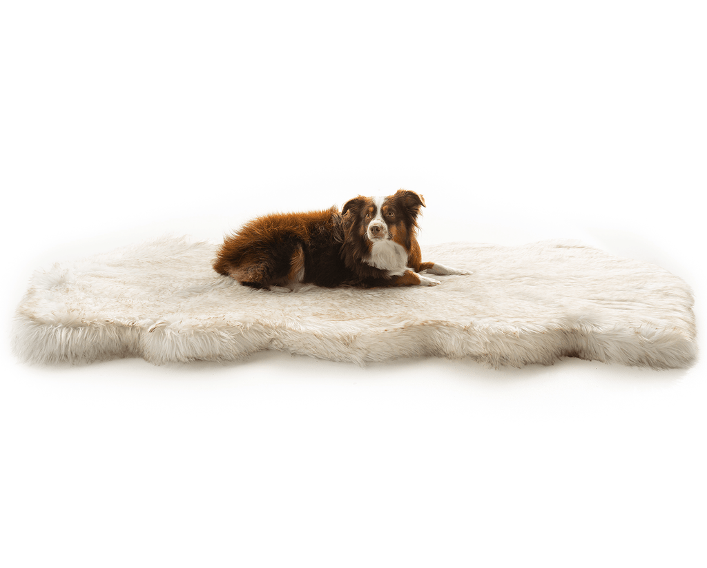 PupRug® Runner Faux Fur Memory Foam Dog Bed - Curve White with Brown Accents by Paw.com