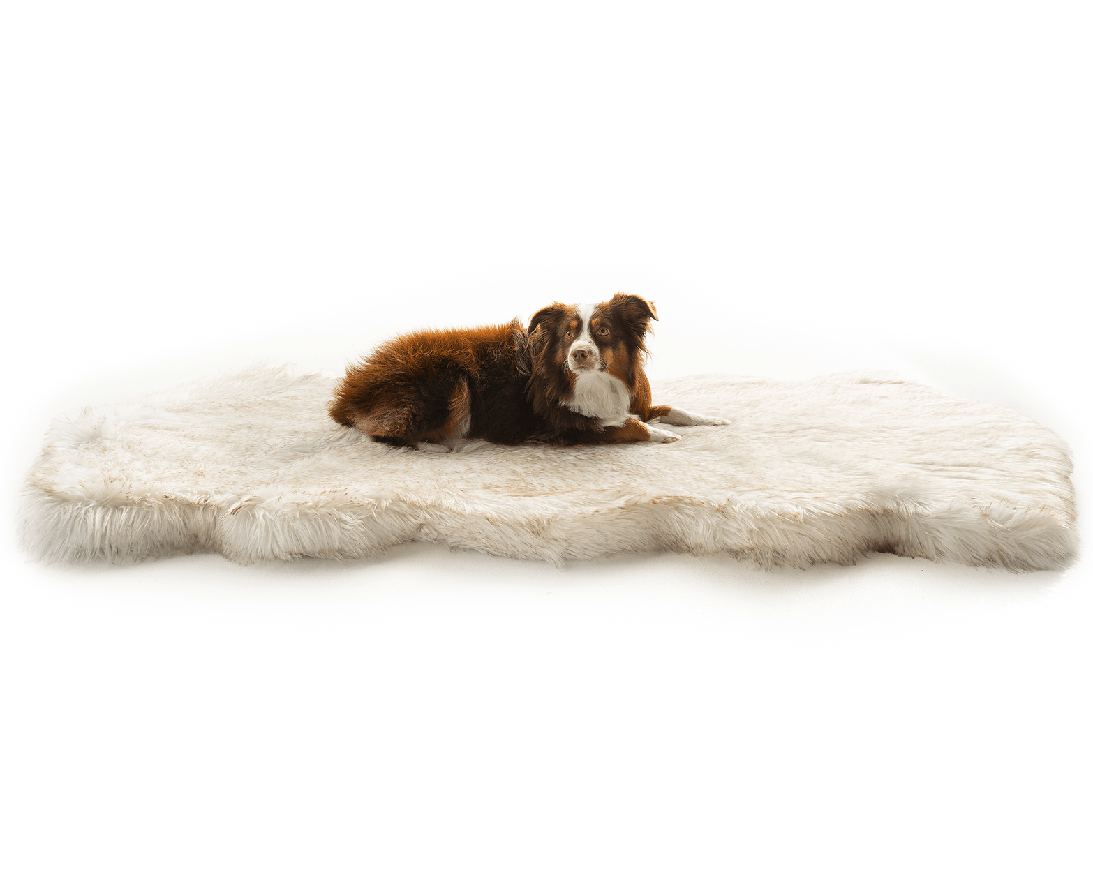 PupRug® Runner Faux Fur Memory Foam Dog Bed - Curve White with Brown Accents by Paw.com