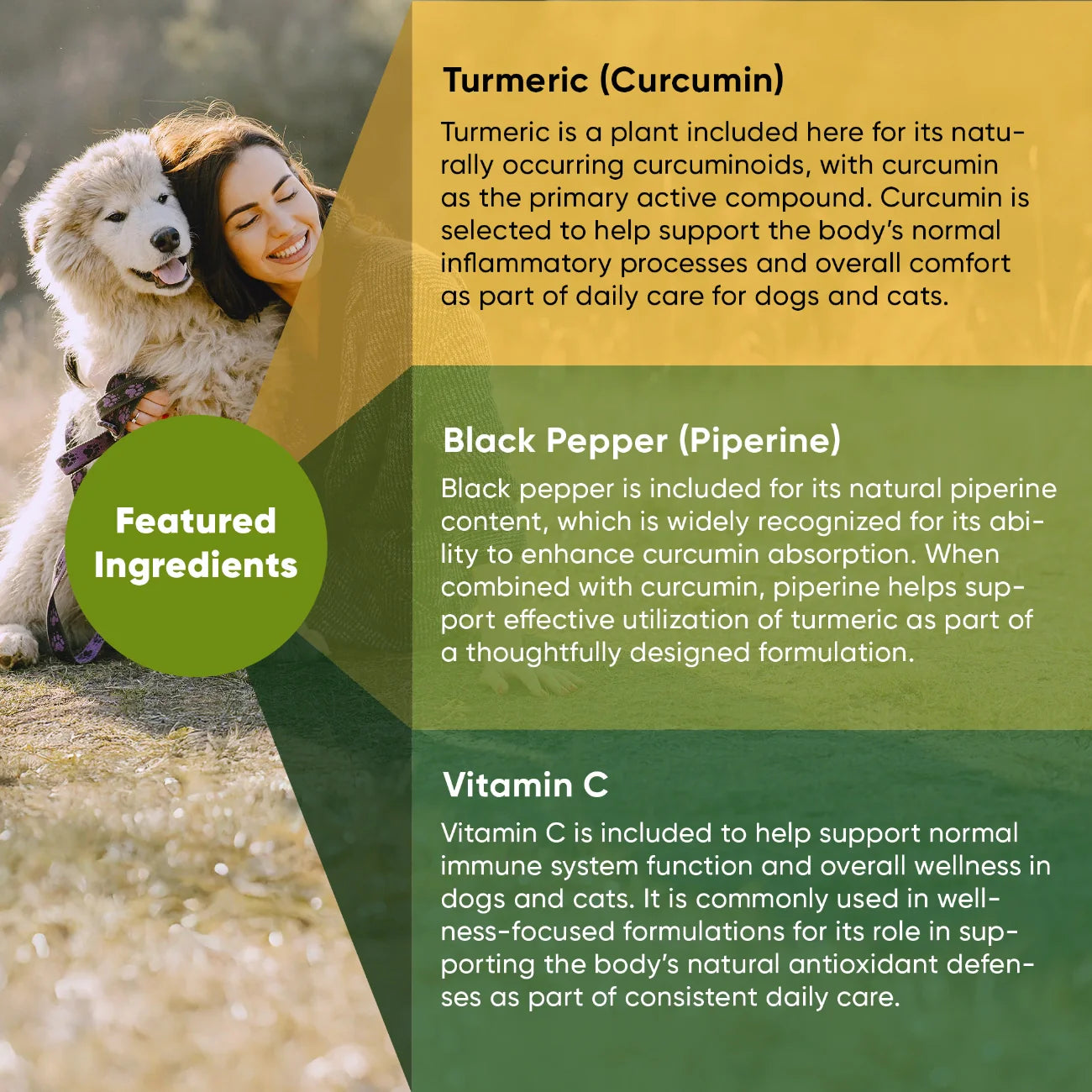 Turmeric by Rooted Owl Pet Supplements