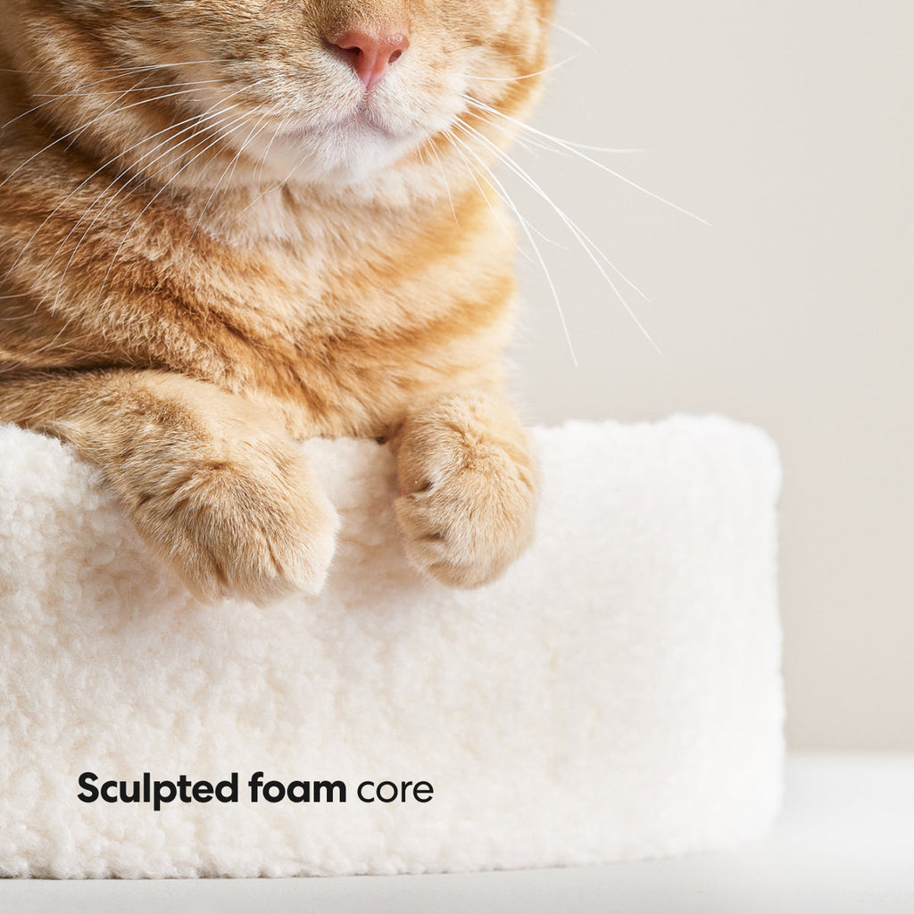 Kip Cat Bed by tuft + paw