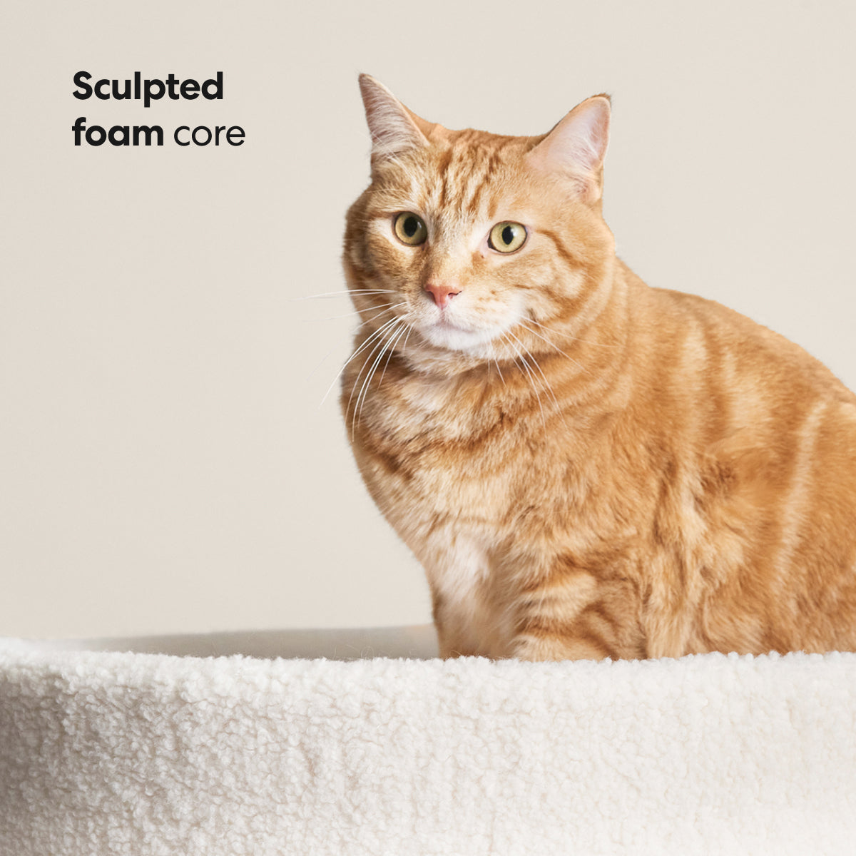 Kip Cat Bed by tuft + paw