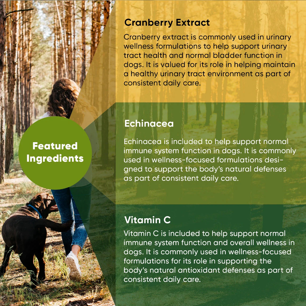 Urinary Support by Rooted Owl Pet Supplements
