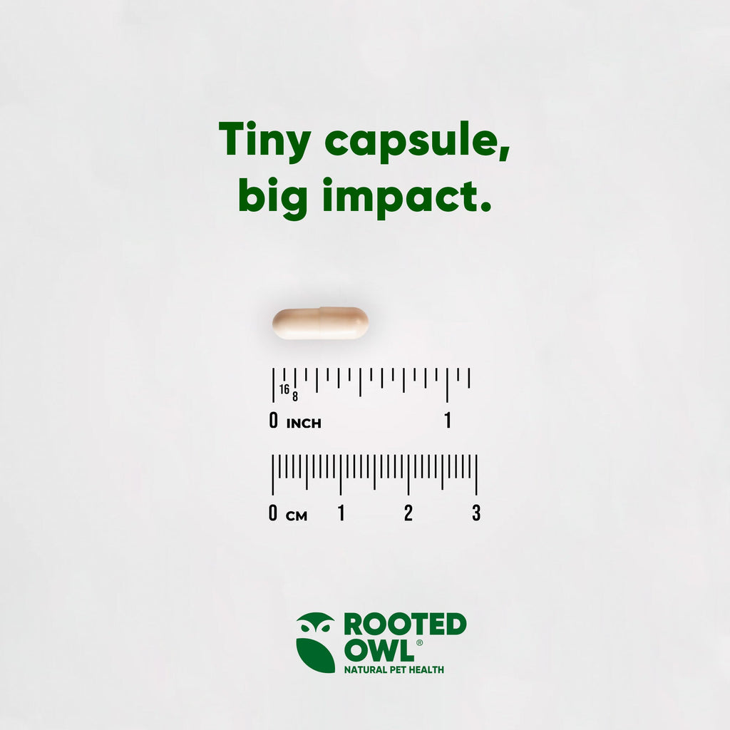 Joint & Muscle Health (Cats & Small Dogs) by Rooted Owl Pet Supplements