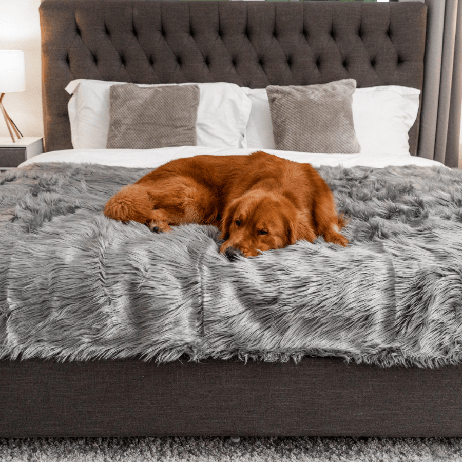 PupProtector™ Waterproof Throw Blanket - Charcoal Grey by Paw.com