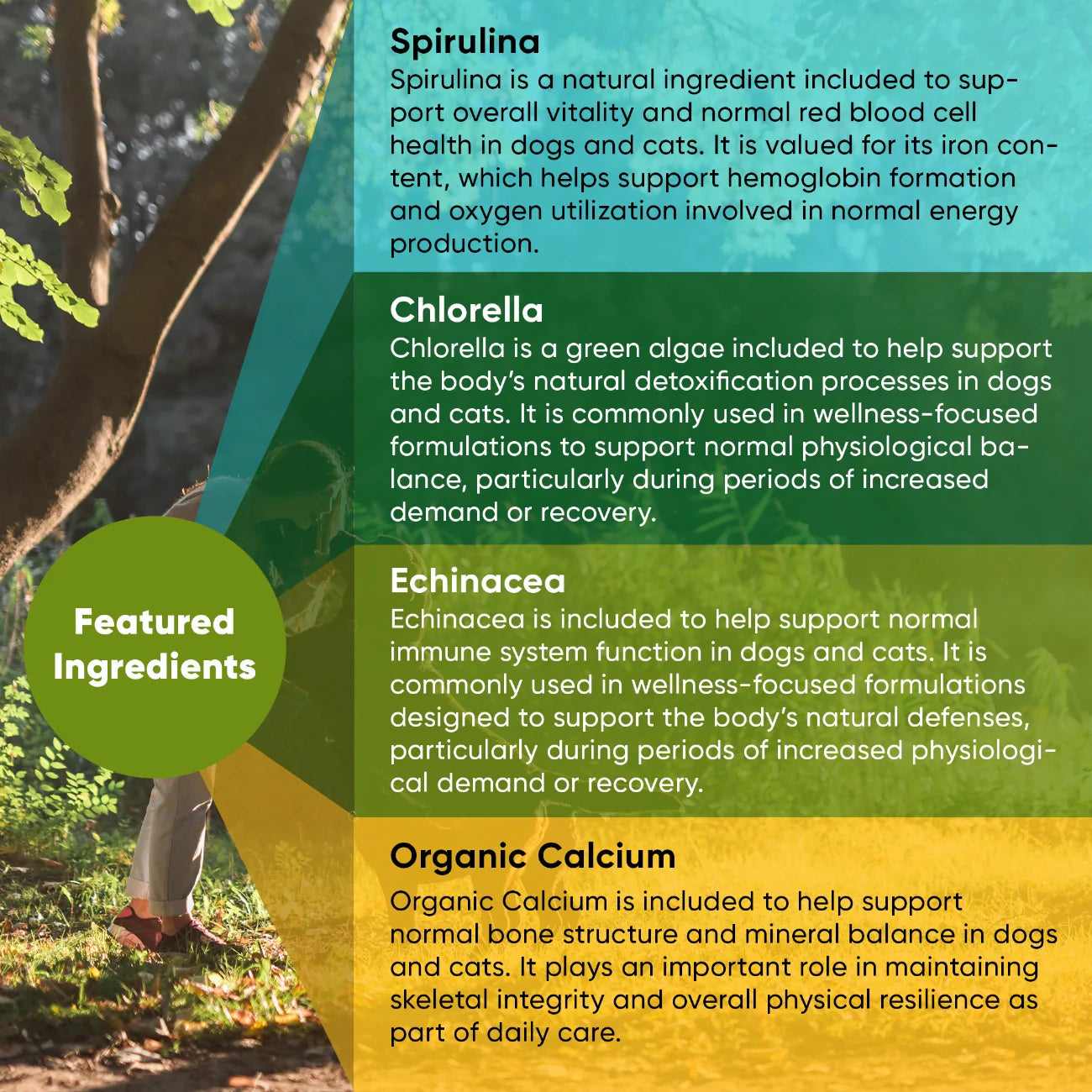 Spirulina & Chlorella by Rooted Owl Pet Supplements