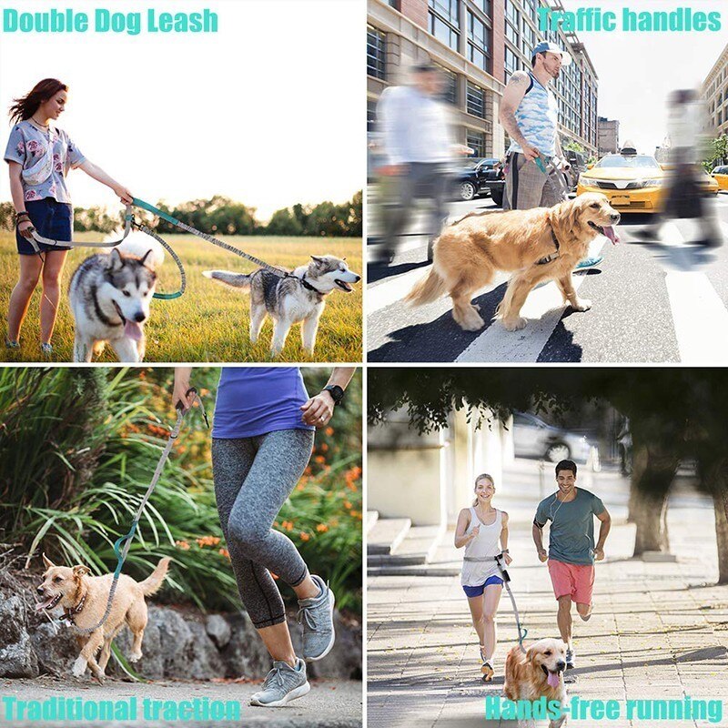 Multifunctional Handsfree Bungee Dog Leash by Furr Baby Gifts