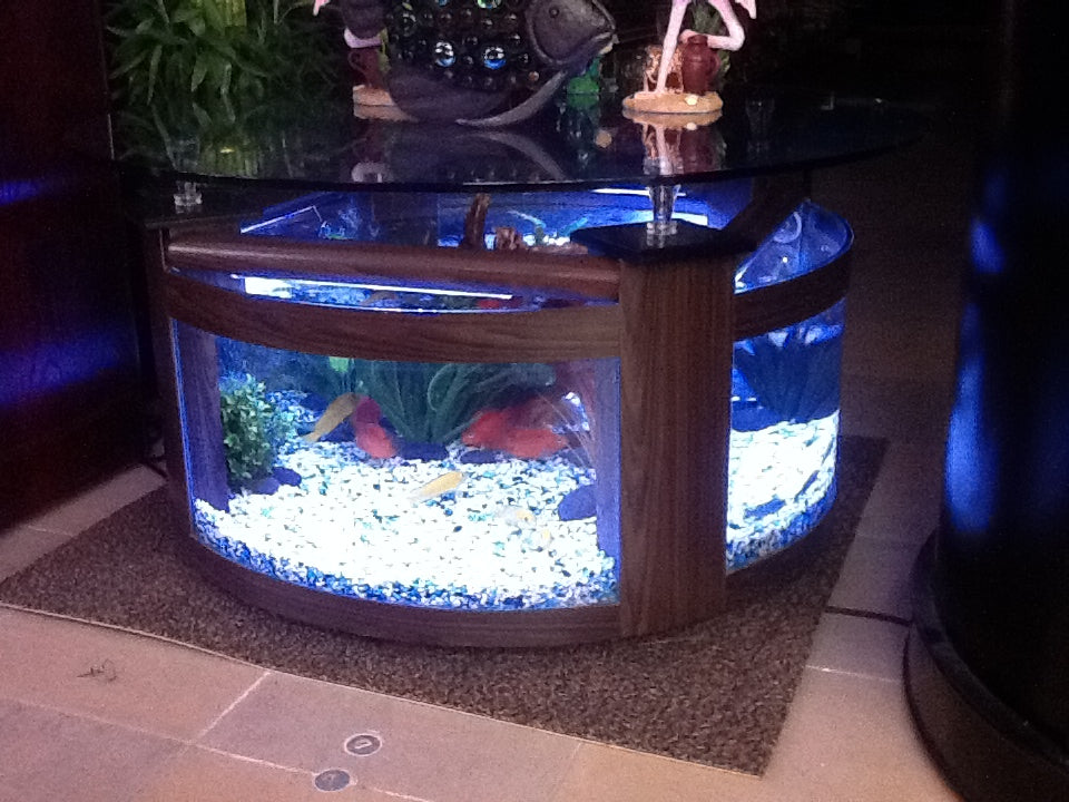 WARRANTY INCLUDED! 55 gallon GLASS round circle table aquarium fish tank setup- MAPLE by Northeast Aquariums LLC