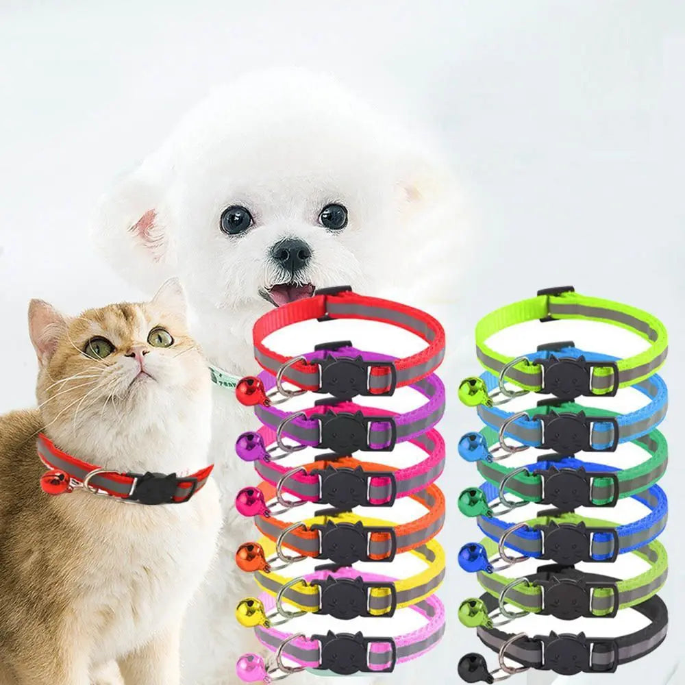 Elastic Colorful Pets Collar by Love My Pet