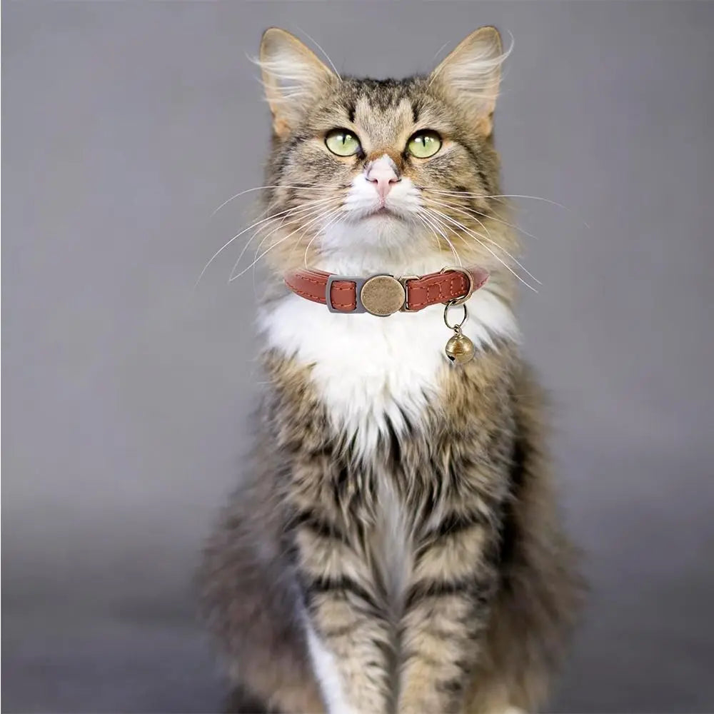 Fashion PU Leather Pet Collar by Love My Pet