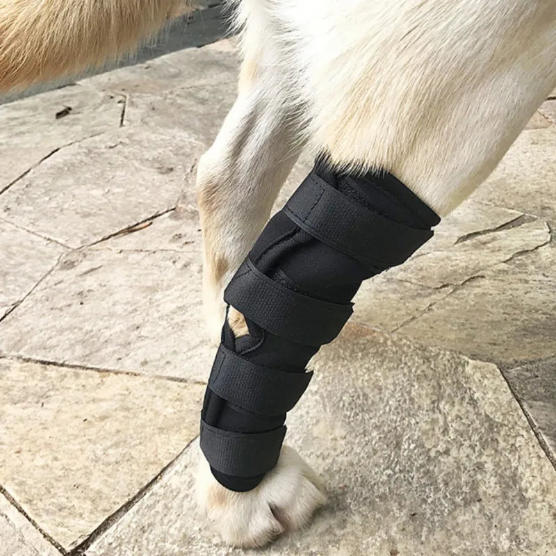Knee Brace For Dogs, Compression Rear Joint Wrap