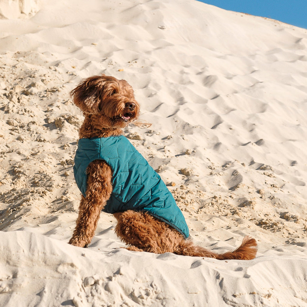 Sustainable Eco-Friendly Dog Jacket / Vest - Made in Ukraine by Bonne et Filou