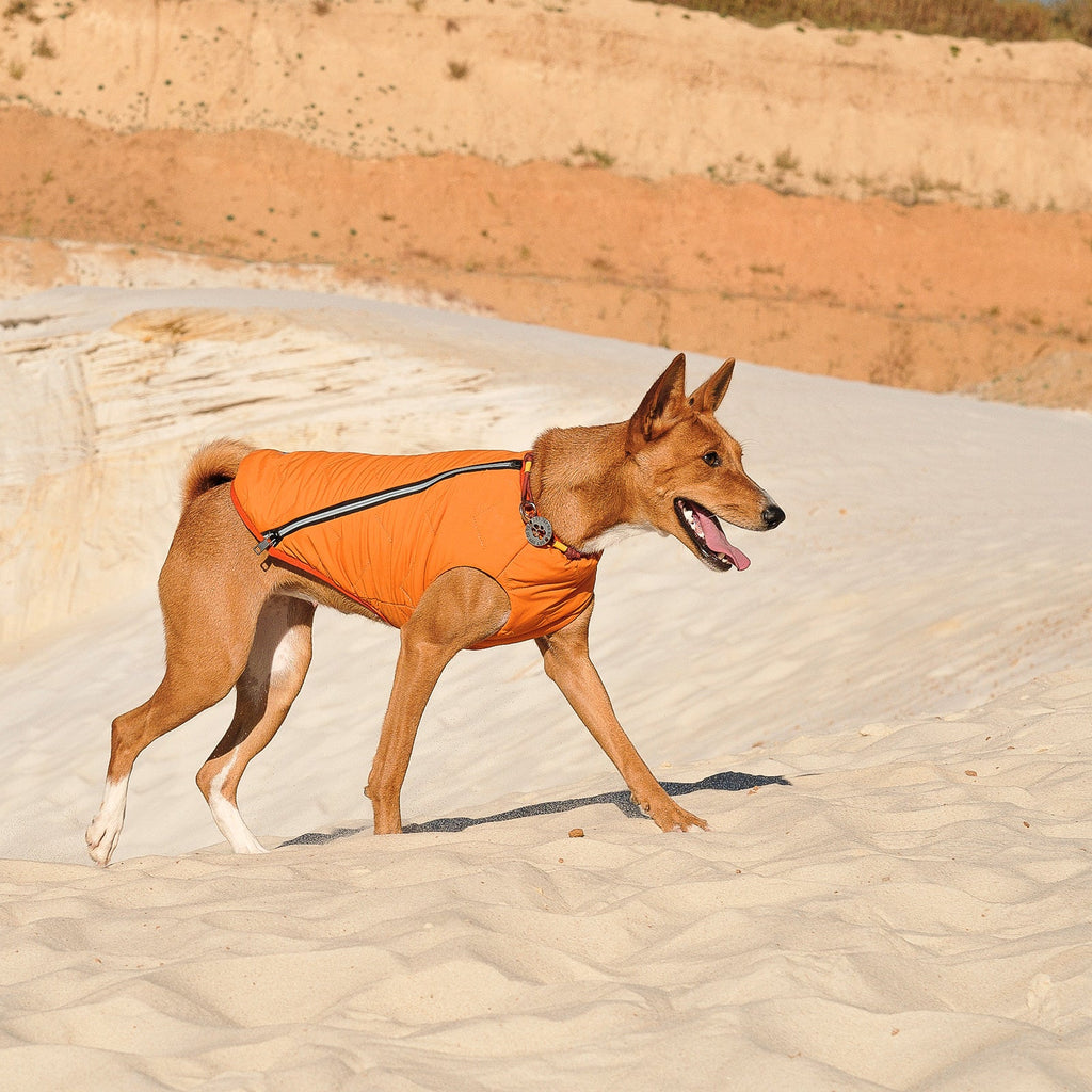 Sustainable Eco-Friendly Dog Jacket / Vest - Made in Ukraine by Bonne et Filou