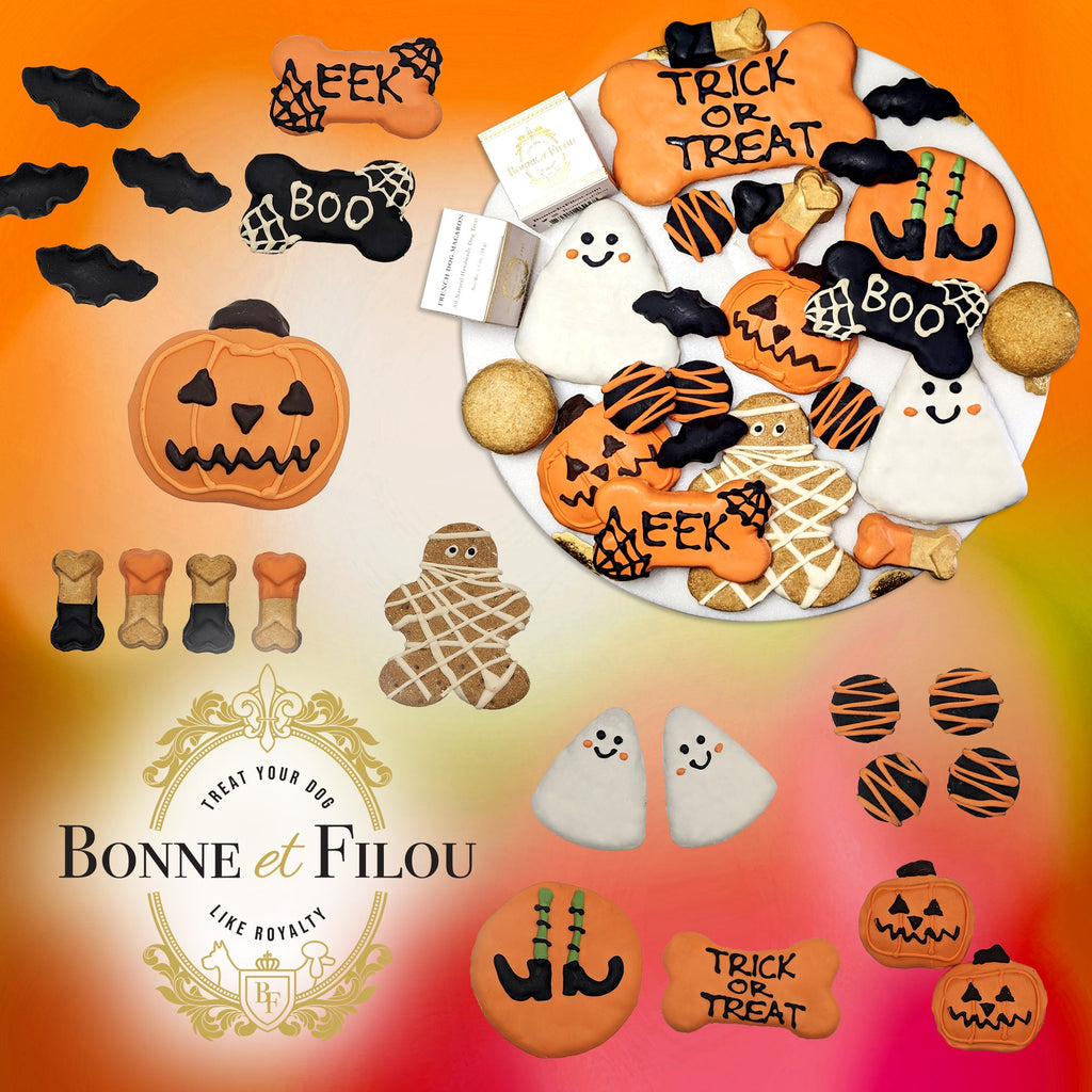 Halloween Themed Dog Treats Gift Box by Bonne et Filou