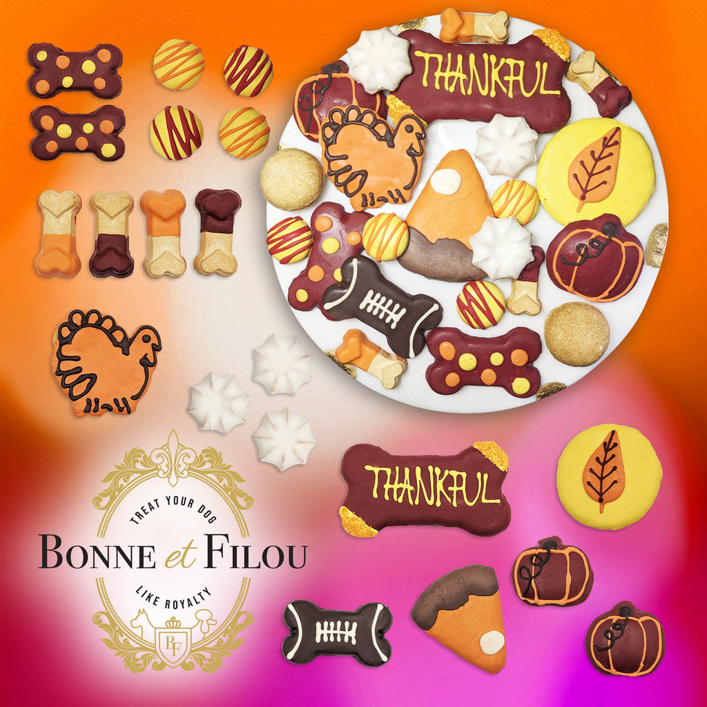 Thankful Themed Dog Treats Gift Box by Bonne et Filou