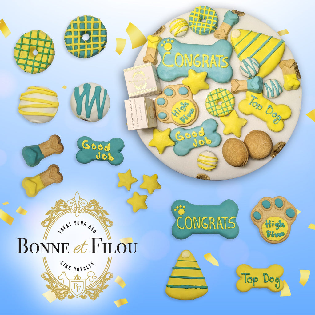 Winter Themed Dog Treats Gift Box by Bonne et Filou