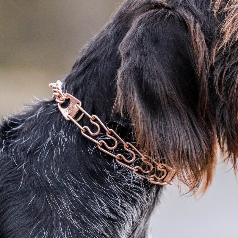 Herm Sprenger - ULTRA-PLUS Training Collar with Center-Plate and Assembly Chain - Short Version – Curogan by Dogline
