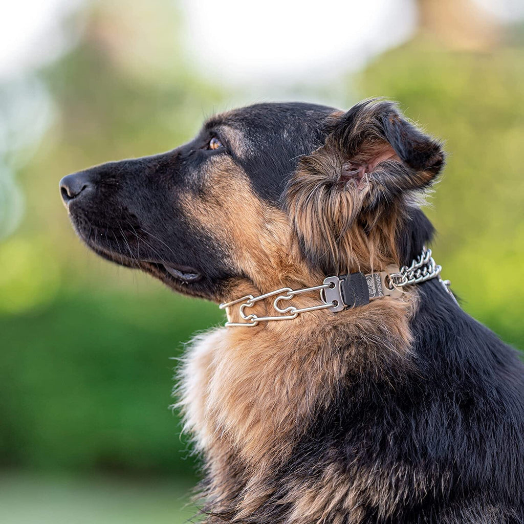 Herm Sprenger - ULTRA-PLUS Training Collar with Center-Plate, Assembly Chain & ClicLock – Comfort Version – Stainless Steel by Dogline