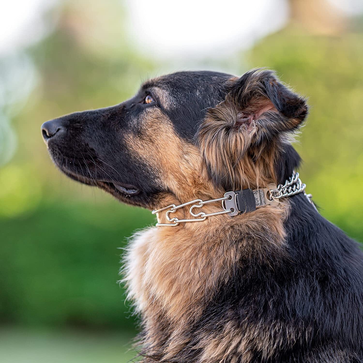 Herm Sprenger - ULTRA-PLUS Training Collar with Center-Plate, Assembly Chain & ClicLock – Comfort Version – Stainless Steel by Dogline