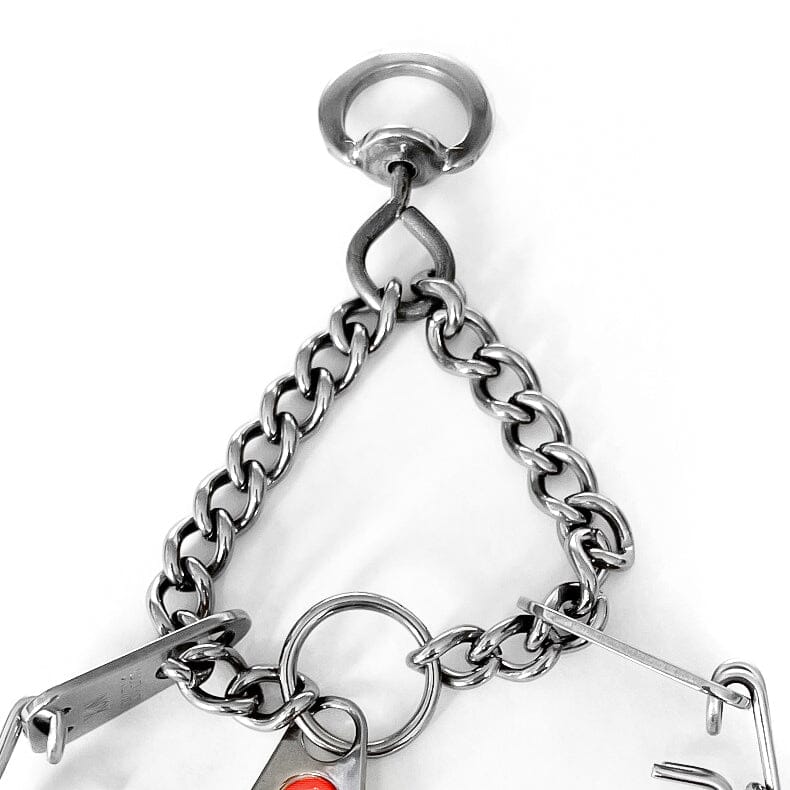 Herm Sprenger - MICRO-PLUS Training Collar with Center-Plate and Assembly Chain – Stainless steel by Dogline
