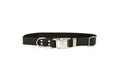 Modern Style Quick-Release Midnight Black Leather Dog Collar by Euro-Dog Collars and Leads