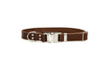 Modern Style Quick-Release Chocolate Leather Dog Collar by Euro-Dog Collars and Leads