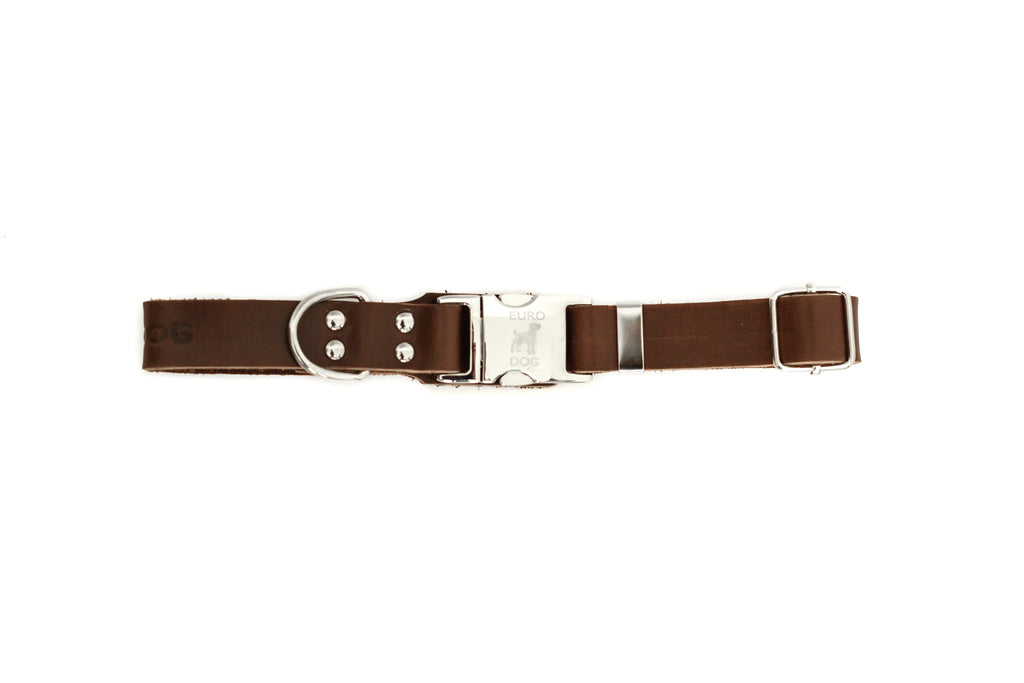 Modern Style Quick-Release Chocolate Leather Dog Collar by Euro-Dog Collars and Leads