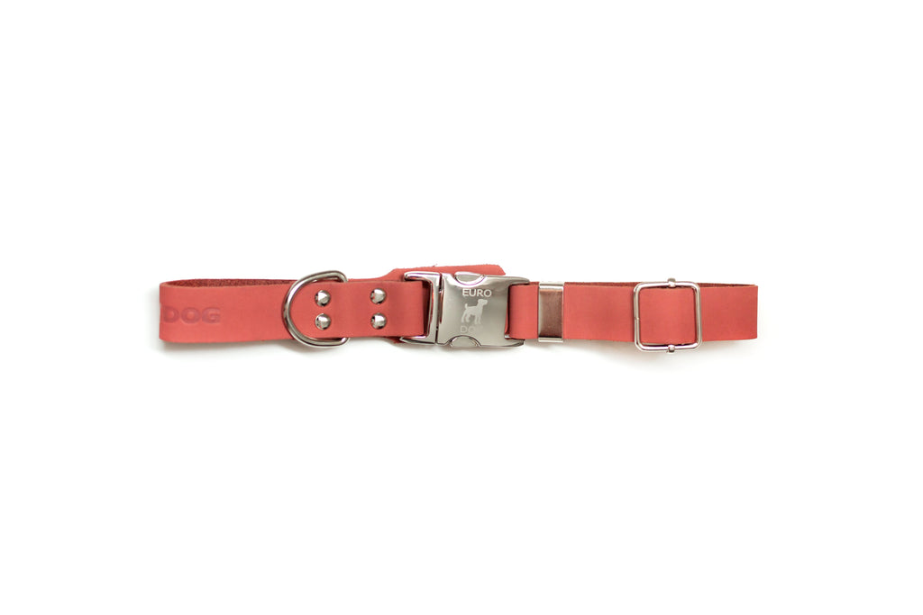 Modern Style Quick-Release Coral Reef Leather Dog Collar by Euro-Dog Collars and Leads