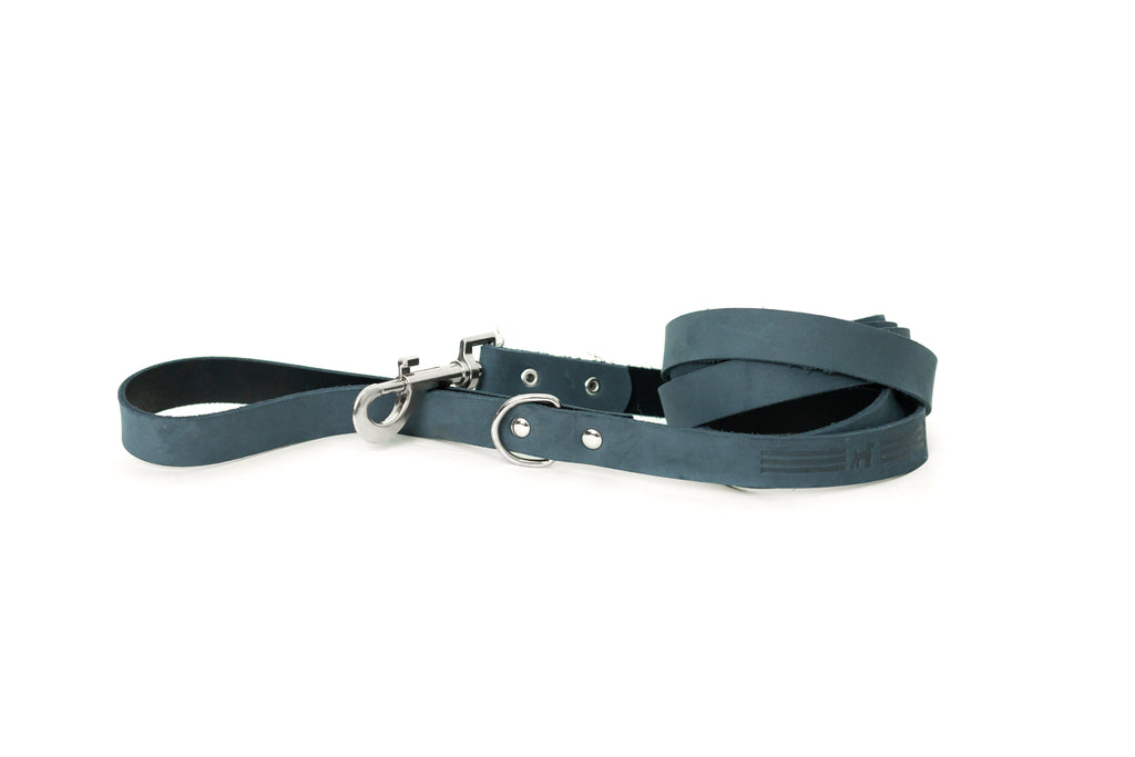 Modern Style Blue Jeans Leather Leash by Euro-Dog Collars and Leads