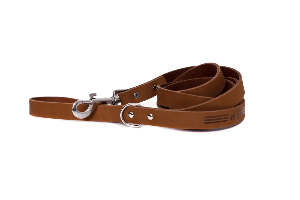 Modern Style Earth Brown Leather Leash by Euro-Dog Collars and Leads