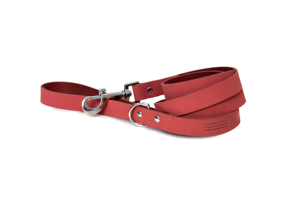 Modern Style Coral Reef Leather Leash by Euro-Dog Collars and Leads