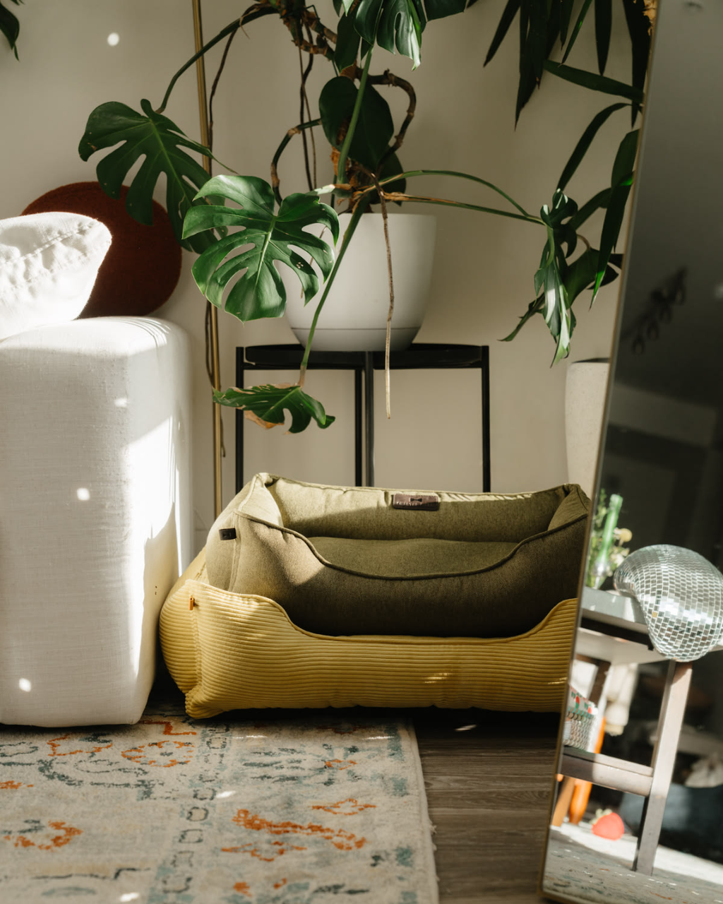 Chester & Lee | Cotton Sleeper Dog Bed Olive by Chester & Lee