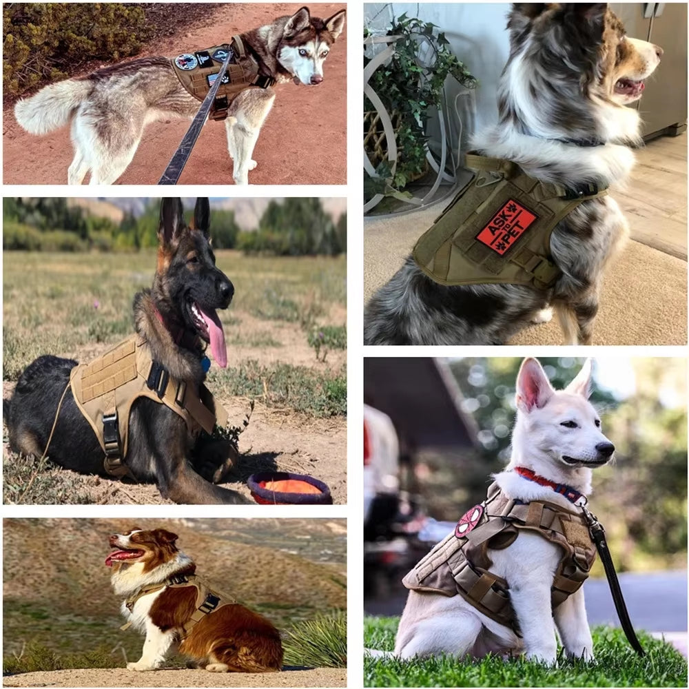 Pet Harness Luxury Dog Leash Set Chest Dog Nylon Dog Harness by Amazing Pet Bargains