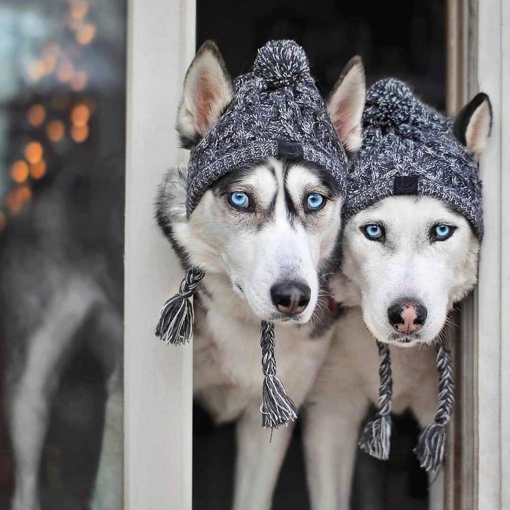 Autumn Winter Warm Knitted Pet Hats With Fluffy Ball by Furr Baby Gifts