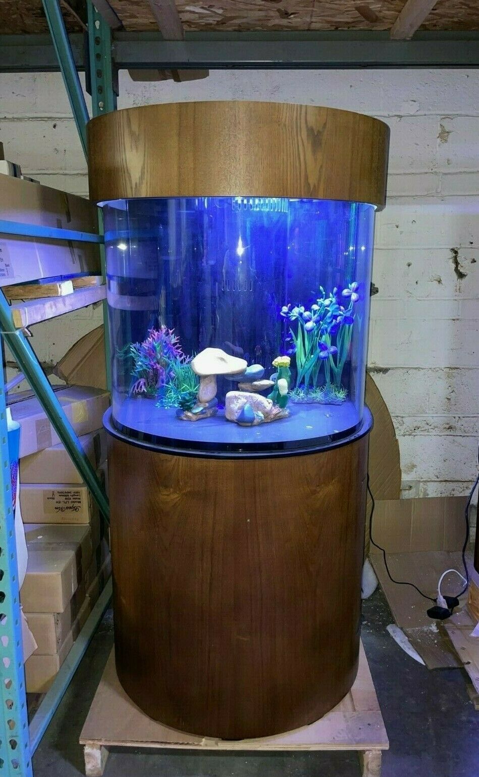 60 Gallon Half Round (Flat Sides) Reef-Ready Aquarium with Stand, Deep Oak by Northeast Aquariums LLC