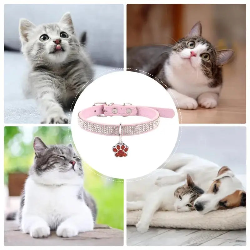 Sparkling Pet Collars With Paw Print Tag by Love My Pet
