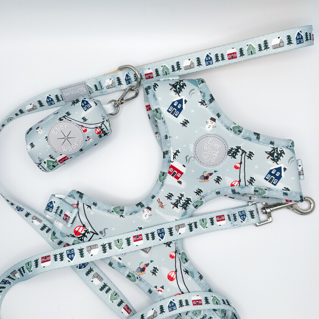 Snowy Slopes Leash by EverWoof