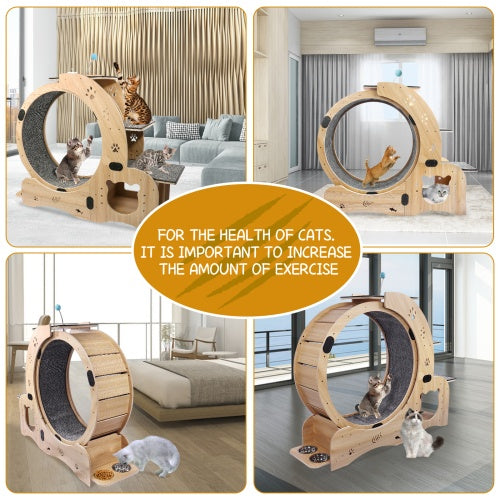 Cat Wheel 6-in-1 Cat Fitness Wheel by Love My Pet