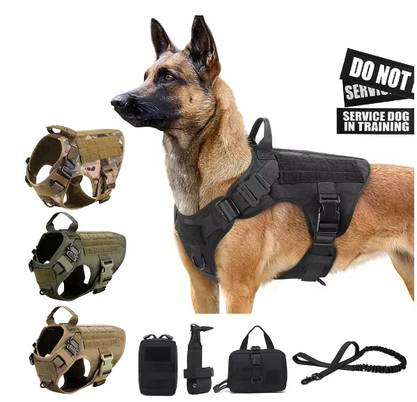 Pet Harness Luxury Dog Leash Set Chest Dog Nylon Dog Harness by Amazing Pet Bargains