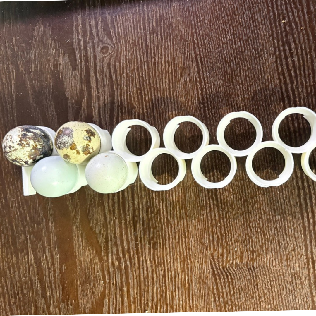 Jumbo Quail Egg Rails for Cimuka®/Hatching Time® Incubators (CT-Series) by Quailz.com by Undique LLC
