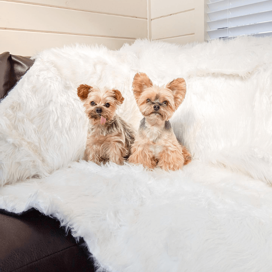 PupProtector™ Waterproof Throw Blanket - Polar White by Paw.com