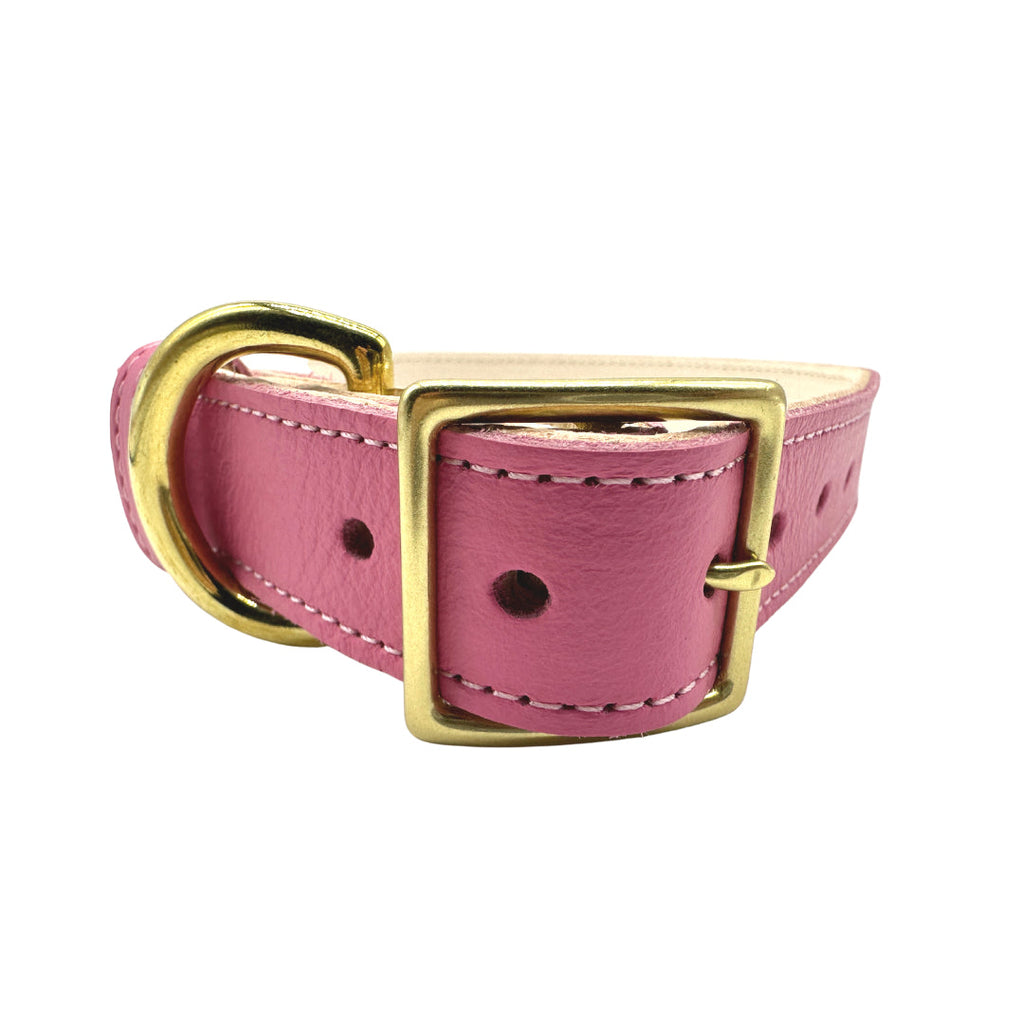 Plain Leather Dog Collar by Bonne et Filou