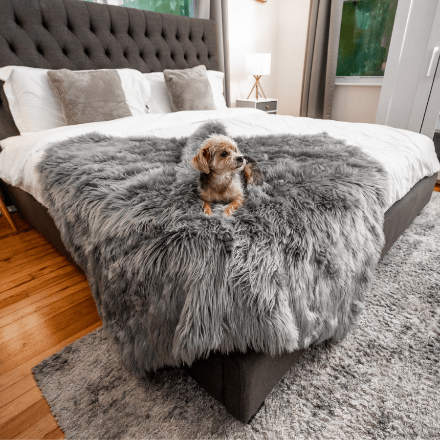 PupProtector™ Waterproof Throw Blanket - Charcoal Grey by Paw.com