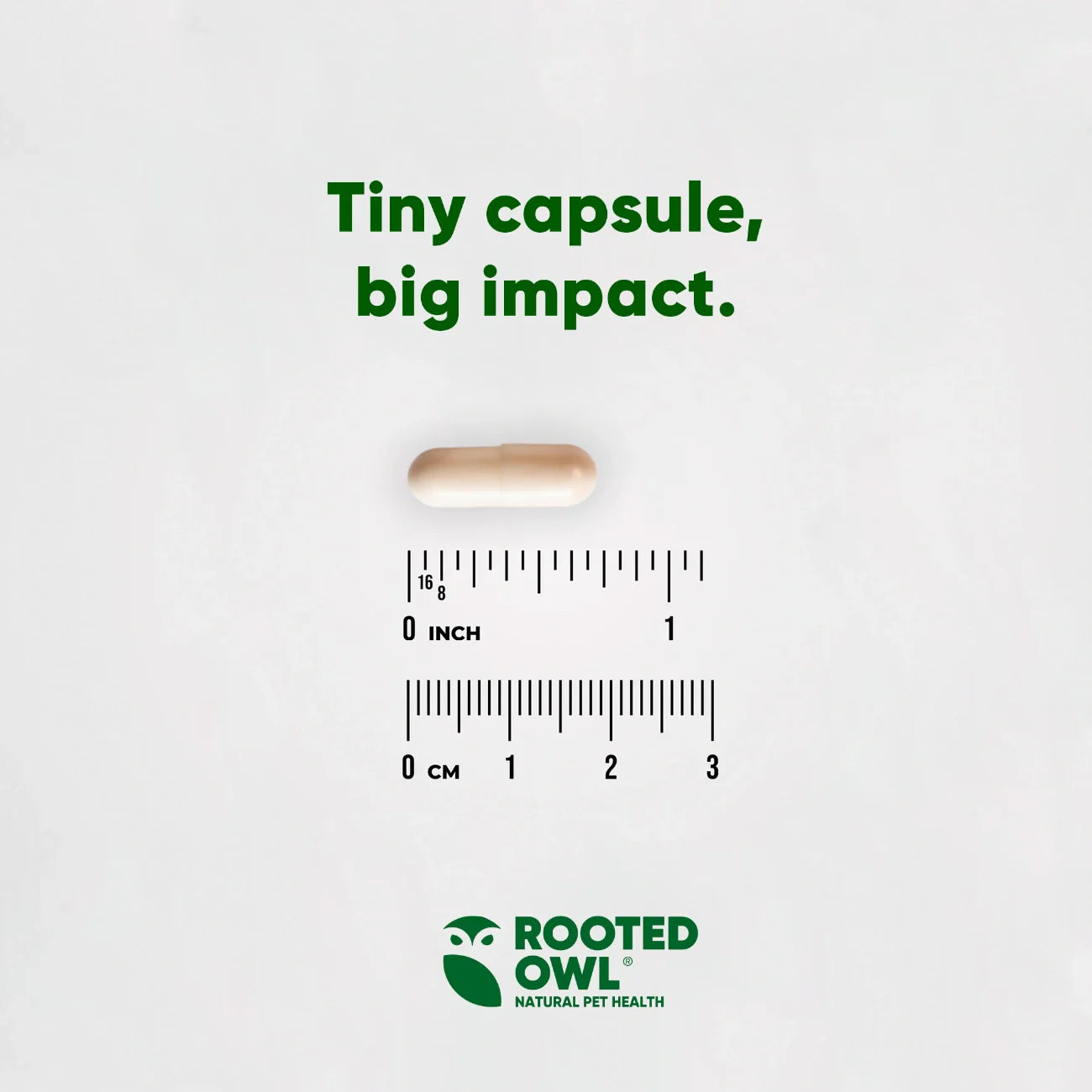 Mushroom Immune Support by Rooted Owl Pet Supplements